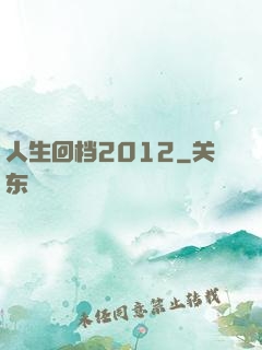 人生回档2012