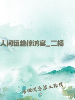人间远赴惊鸿宴