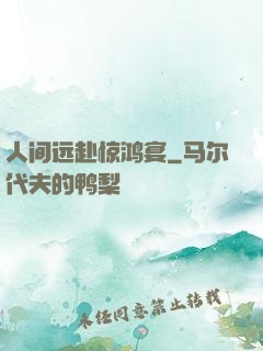 人间远赴惊鸿宴