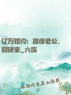 亿万婚约：首席老公，别硬来