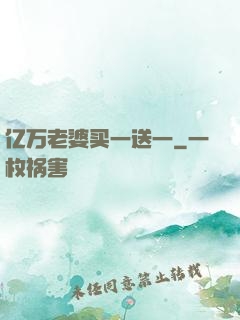 亿万老婆买一送一