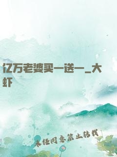 亿万老婆买一送一