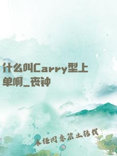 什么叫Carry型上单啊
