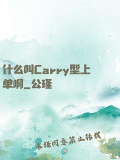什么叫Carry型上单啊