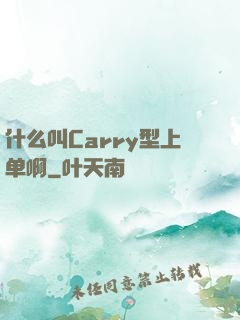 什么叫Carry型上单啊