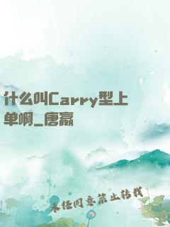 什么叫Carry型上单啊