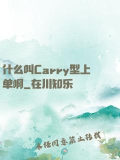 什么叫Carry型上单啊