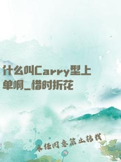 什么叫Carry型上单啊
