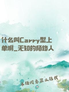 什么叫Carry型上单啊