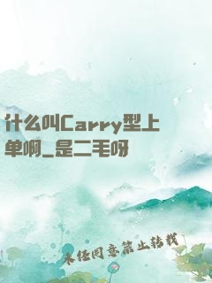 什么叫Carry型上单啊