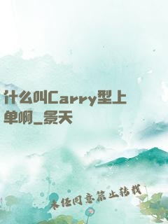什么叫Carry型上单啊