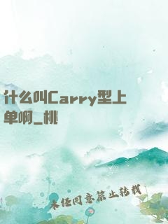 什么叫Carry型上单啊