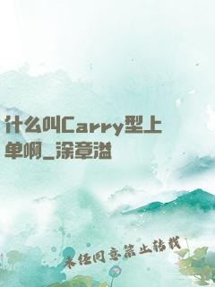 什么叫Carry型上单啊