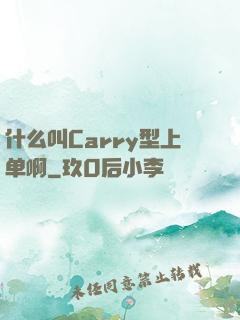 什么叫Carry型上单啊