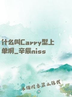 什么叫Carry型上单啊