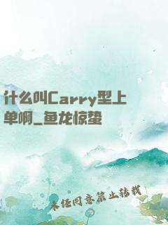 什么叫Carry型上单啊