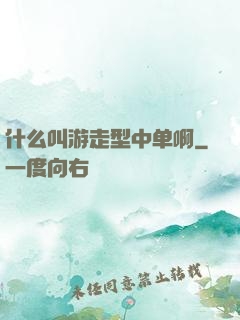 什么叫游走型中单啊