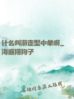 什么叫游走型中单啊