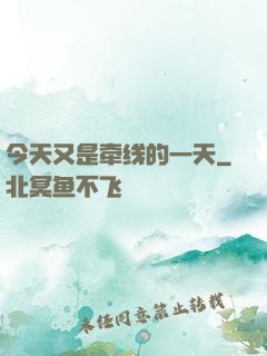 今天又是牵线的一天