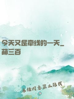 今天又是牵线的一天
