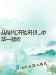 从NPC开始升级