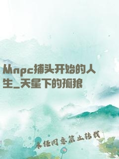 从npc捕头开始的人生