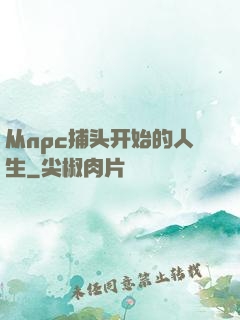从npc捕头开始的人生