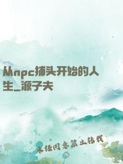从npc捕头开始的人生