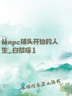 从npc捕头开始的人生