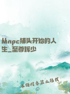 从npc捕头开始的人生