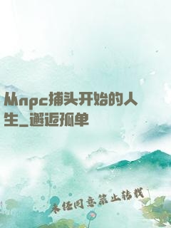 从npc捕头开始的人生