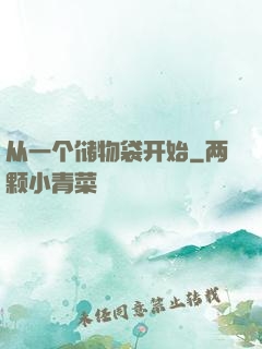 从一个储物袋开始