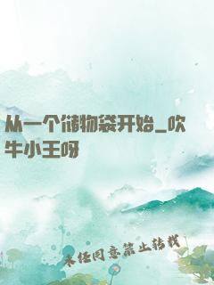 从一个储物袋开始