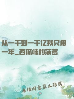 从一千到一千亿我只用一年