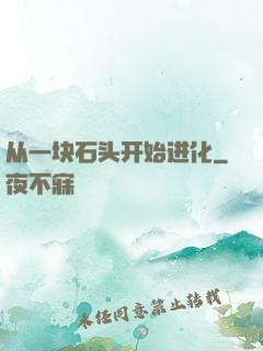 从一块石头开始进化