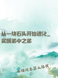 从一块石头开始进化