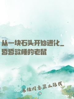 从一块石头开始进化