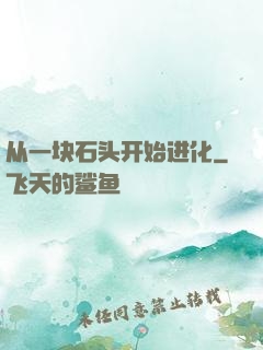 从一块石头开始进化