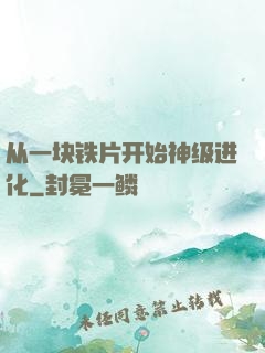 从一块铁片开始神级进化