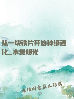 从一块铁片开始神级进化