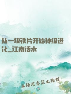 从一块铁片开始神级进化