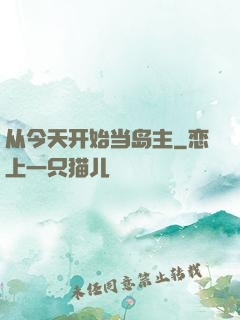 从今天开始当岛主