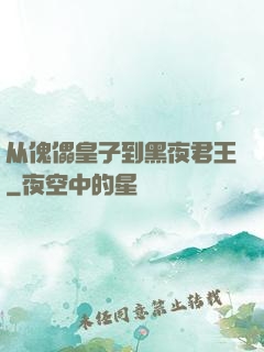 从傀儡皇子到黑夜君王