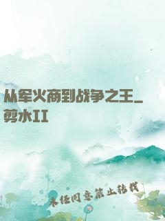 从军火商到战争之王