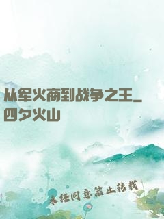 从军火商到战争之王
