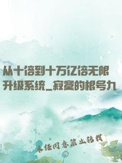 从十倍到十万亿倍无限升级系统