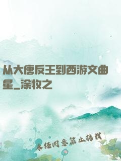 从大唐反王到西游文曲星