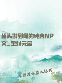 从头做到尾的纯肉NP文
