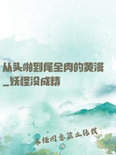 从头啪到尾全肉的黄漫