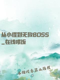 从小怪到无敌BOSS